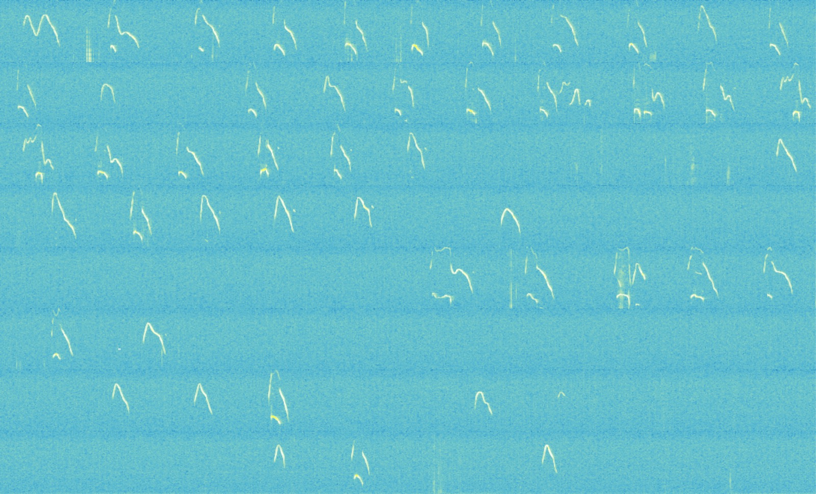 Spectrogram (sonogram) of mouse ultrasonic vocalizations, colored by VocalMat's detected calls.